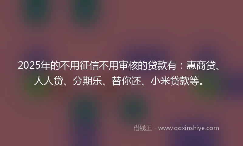 2025年的不用征信不用审核的贷款有：惠商贷、人人贷、分期乐、替你还、小米贷款等。
