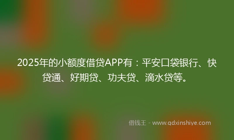 2025年的小额度借贷APP有：平安口袋银行、快贷通、好期贷、功夫贷、滴水贷等。