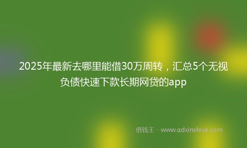 2025年最新去哪里能借30万周转，汇总5个无视负债快速下款长期网贷的app