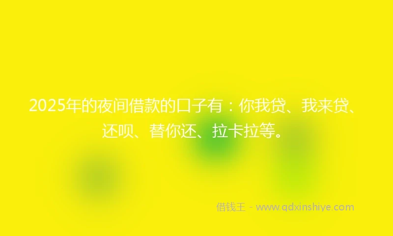 2025年的夜间借款的口子有：你我贷、我来贷、还呗、替你还、拉卡拉等。