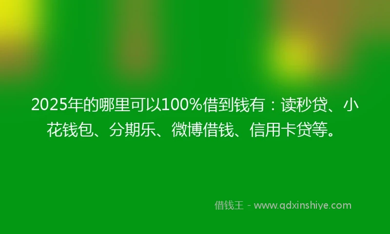 2025年的哪里可以100%借到钱有：读秒贷、小花钱包、分期乐、微博借钱、信用卡贷等。