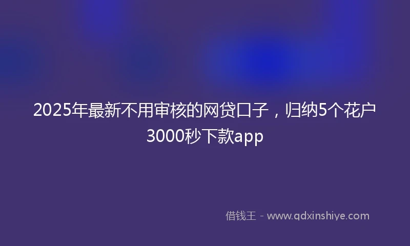 2025年最新不用审核的网贷口子，归纳5个花户3000秒下款app