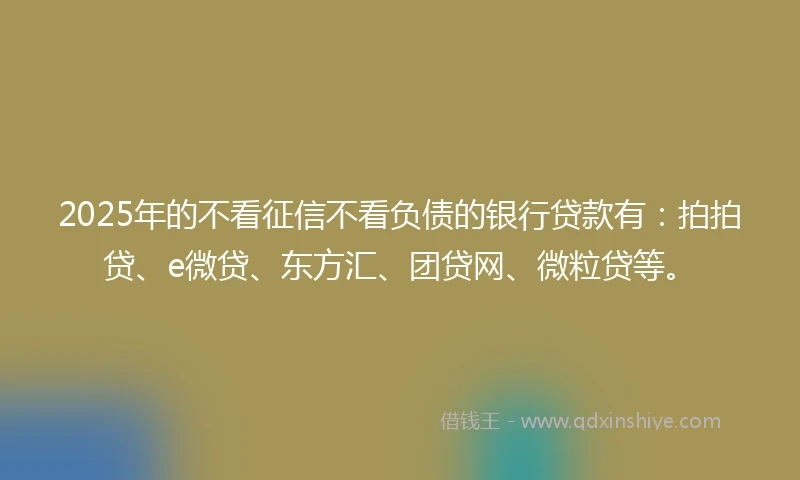 2025年的不看征信不看负债的银行贷款有：拍拍贷、e微贷、东方汇、团贷网、微粒贷等。
