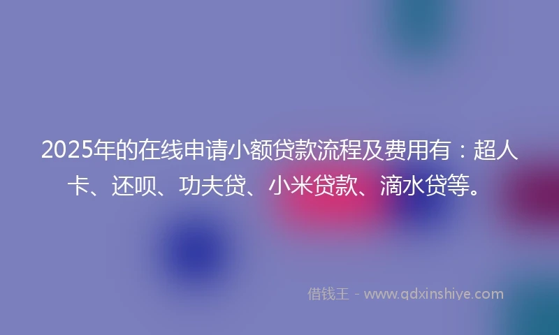 2025年的在线申请小额贷款流程及费用有：超人卡、还呗、功夫贷、小米贷款、滴水贷等。