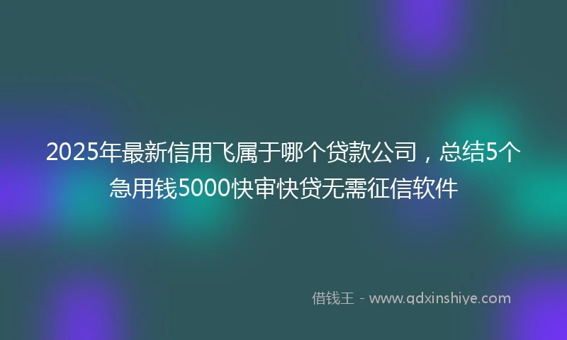 2025年最新信用飞属于哪个贷款公司，总结5个急用钱5000快审快贷无需征信软件