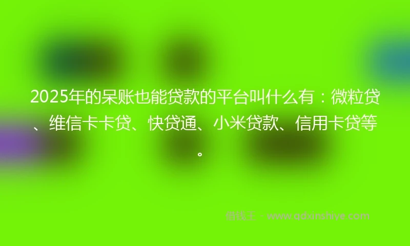 2025年的呆账也能贷款的平台叫什么有：微粒贷、维信卡卡贷、快贷通、小米贷款、信用卡贷等。