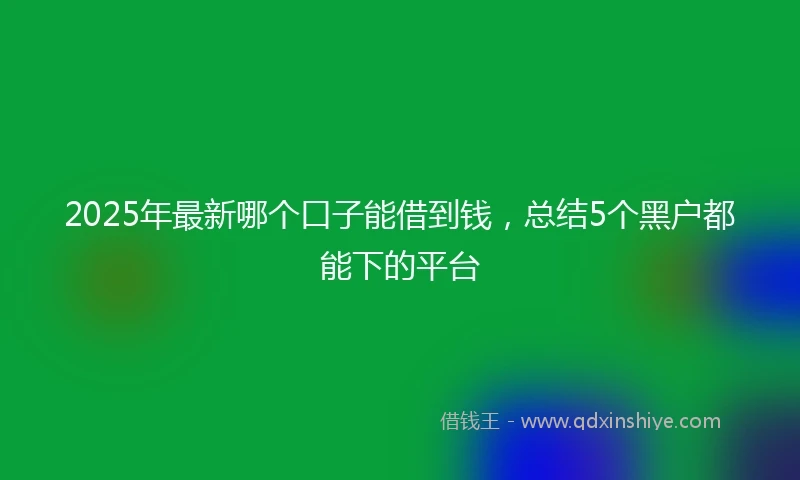 2025年最新哪个口子能借到钱，总结5个黑户都能下的平台