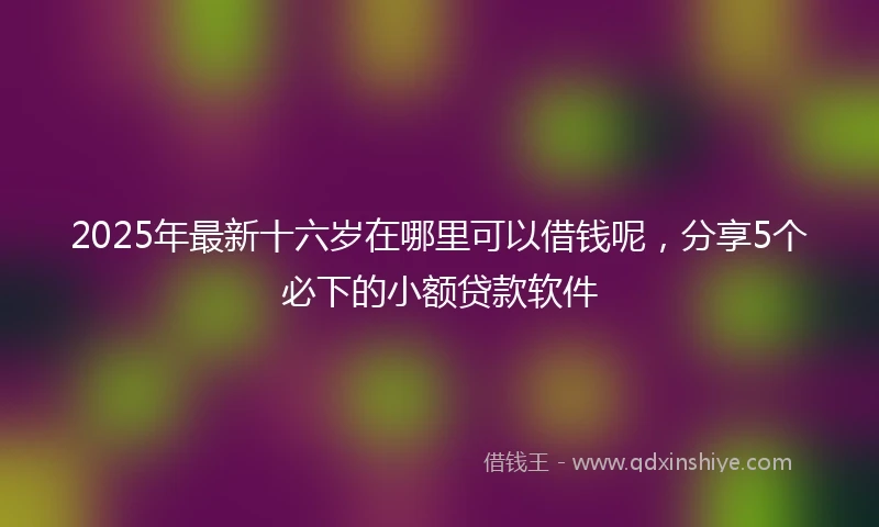 2025年最新十六岁在哪里可以借钱呢，分享5个必下的小额贷款软件