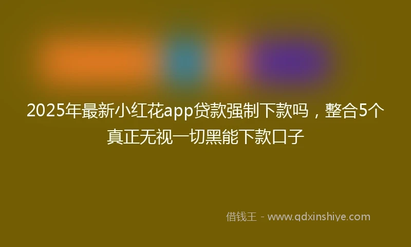2025年最新小红花app贷款强制下款吗，整合5个真正无视一切黑能下款口子
