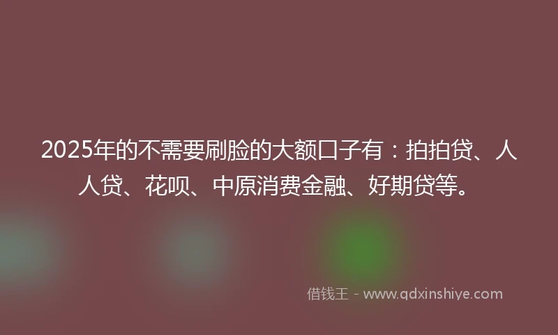 2025年的不需要刷脸的大额口子有：拍拍贷、人人贷、花呗、中原消费金融、好期贷等。