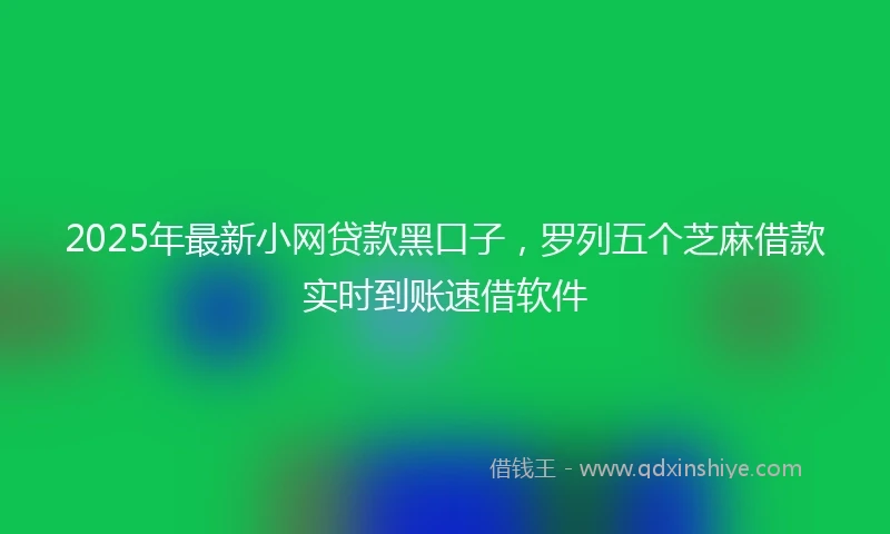 2025年最新小网贷款黑口子，罗列五个芝麻借款实时到账速借软件