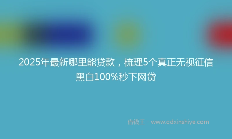2025年最新哪里能贷款，梳理5个真正无视征信黑白100%秒下网贷