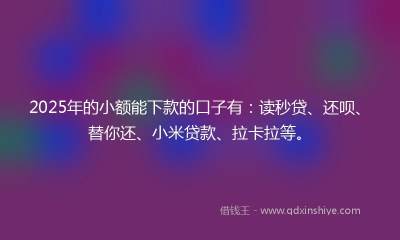 2025年的小额能下款的口子有：读秒贷、还呗、替你还、小米贷款、拉卡拉等。