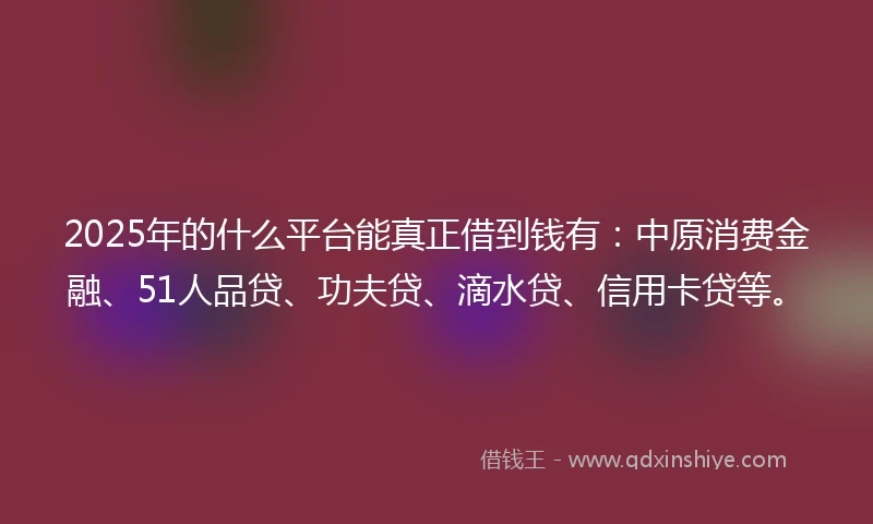 2025年的什么平台能真正借到钱有：中原消费金融、51人品贷、功夫贷、滴水贷、信用卡贷等。