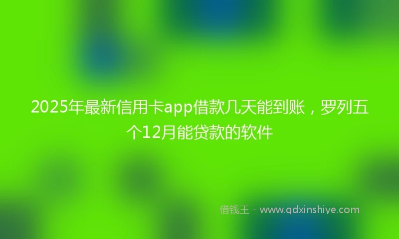 2025年最新信用卡app借款几天能到账，罗列五个12月能贷款的软件