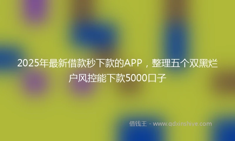 2025年最新借款秒下款的APP，整理五个双黑烂户风控能下款5000口子
