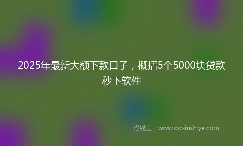 2025年最新大额下款口子，概括5个5000块贷款秒下软件