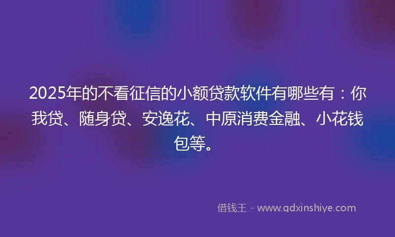 2025年的不看征信的小额贷款软件有哪些有：你我贷、随身贷、安逸花、中原消费金融、小花钱包等。