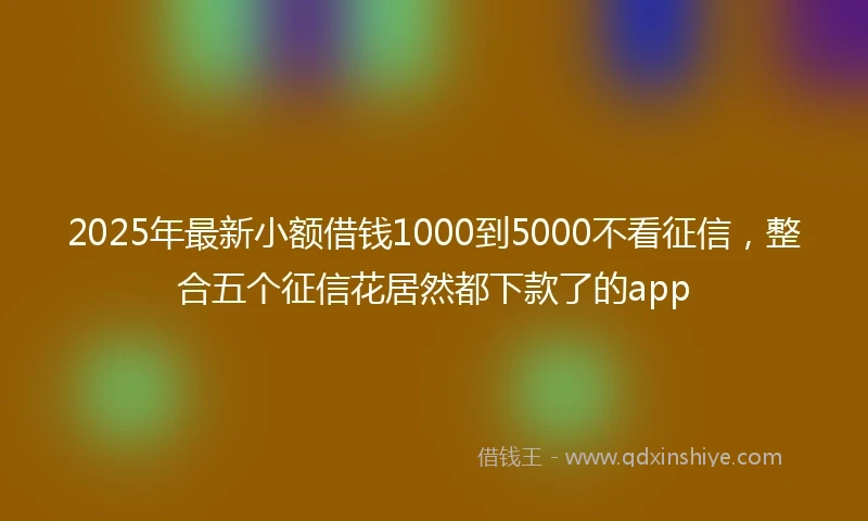 2025年最新小额借钱1000到5000不看征信，整合五个征信花居然都下款了的app