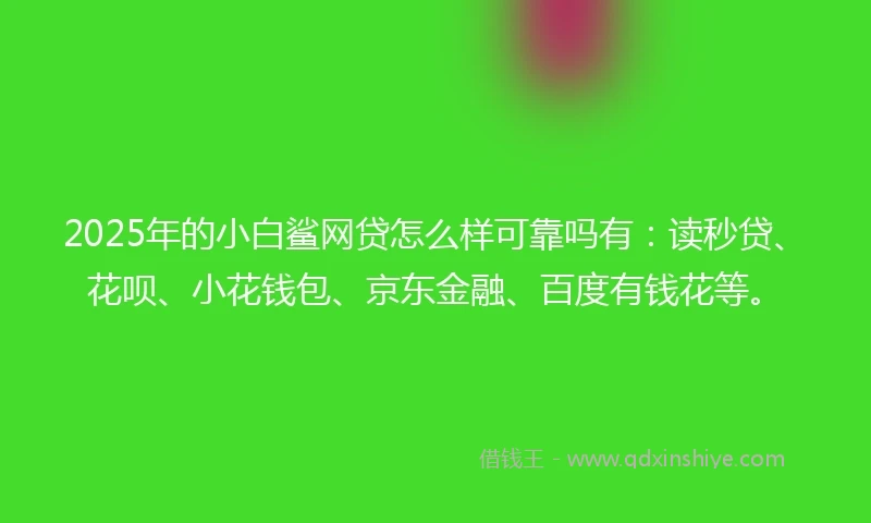2025年的小白鲨网贷怎么样可靠吗有：读秒贷、花呗、小花钱包、京东金融、百度有钱花等。