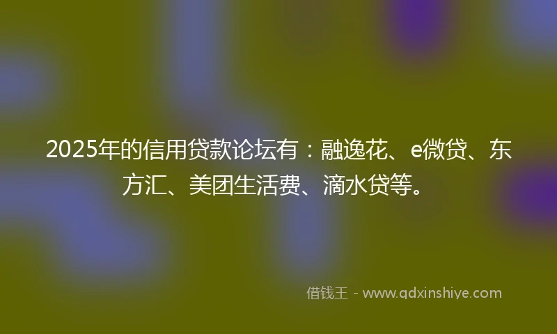 2025年的信用贷款论坛有：融逸花、e微贷、东方汇、美团生活费、滴水贷等。