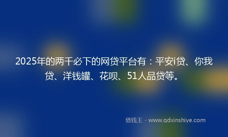2025年的两千必下的网贷平台有：平安i贷、你我贷、洋钱罐、花呗、51人品贷等。