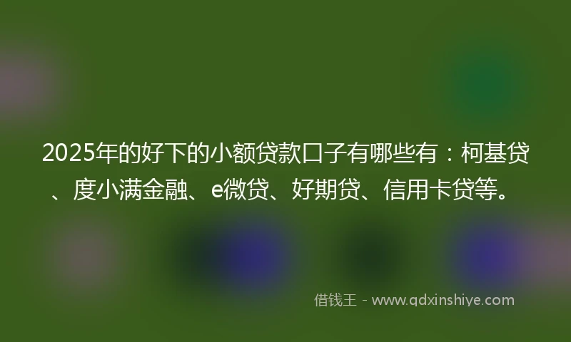 2025年的好下的小额贷款口子有哪些有：柯基贷、度小满金融、e微贷、好期贷、信用卡贷等。