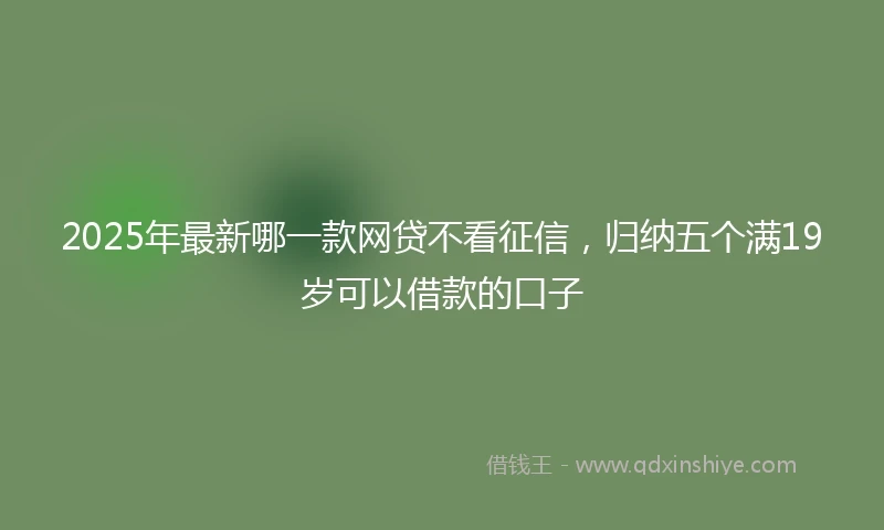 2025年最新哪一款网贷不看征信，归纳五个满19岁可以借款的口子