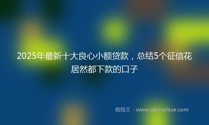 2025年最新十大良心小额贷款，总结5个征信花居然都下款的口子