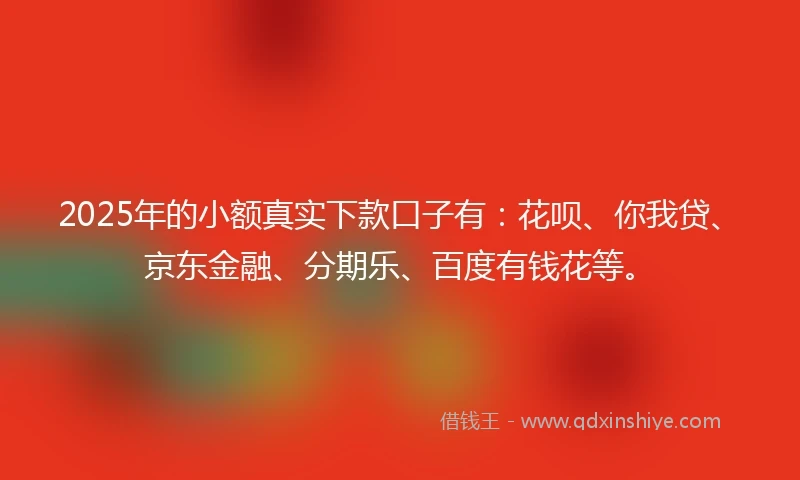 2025年的小额真实下款口子有：花呗、你我贷、京东金融、分期乐、百度有钱花等。