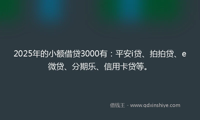 2025年的小额借贷3000有：平安i贷、拍拍贷、e微贷、分期乐、信用卡贷等。
