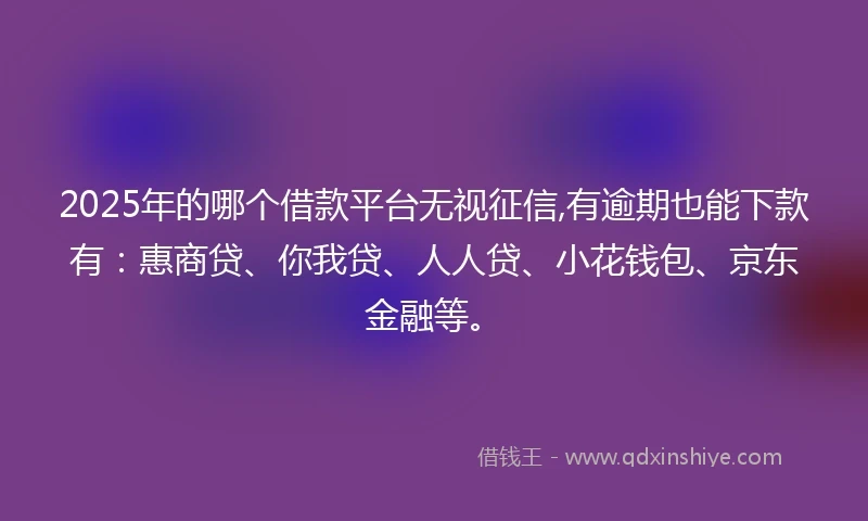 2025年的哪个借款平台无视征信,有逾期也能下款有：惠商贷、你我贷、人人贷、小花钱包、京东金融等。