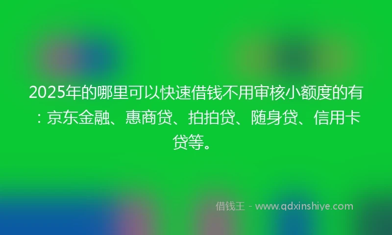 2025年的哪里可以快速借钱不用审核小额度的有：京东金融、惠商贷、拍拍贷、随身贷、信用卡贷等。