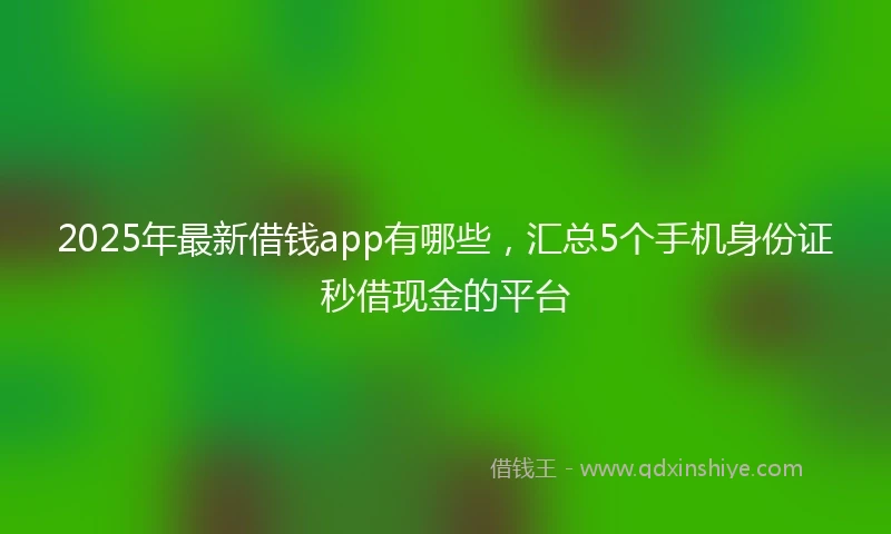 2025年最新借钱app有哪些，汇总5个手机身份证秒借现金的平台