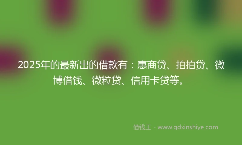 2025年的最新出的借款有：惠商贷、拍拍贷、微博借钱、微粒贷、信用卡贷等。