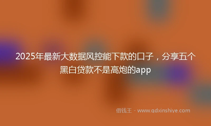 2025年最新大数据风控能下款的口子，分享五个黑白贷款不是高炮的app