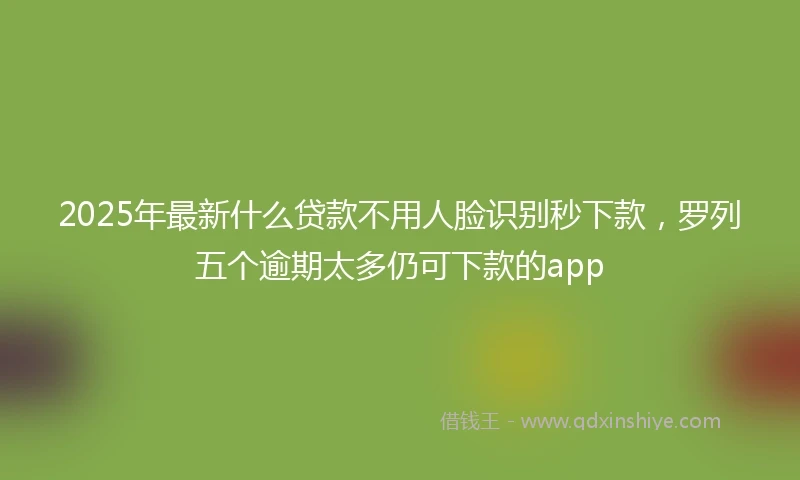 2025年最新什么贷款不用人脸识别秒下款，罗列五个逾期太多仍可下款的app