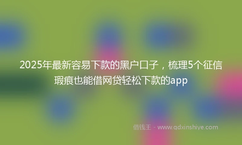 2025年最新容易下款的黑户口子，梳理5个征信瑕疵也能借网贷轻松下款的app