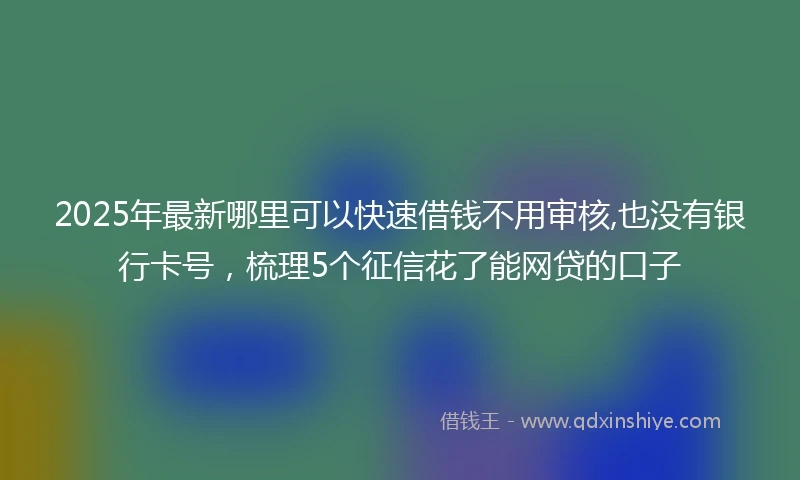 2025年最新哪里可以快速借钱不用审核,也没有银行卡号，梳理5个征信花了能网贷的口子