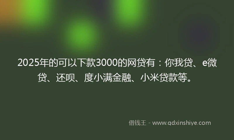 2025年的可以下款3000的网贷有：你我贷、e微贷、还呗、度小满金融、小米贷款等。