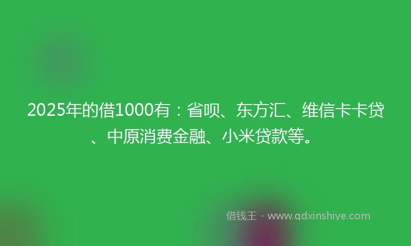 2025年的借1000有：省呗、东方汇、维信卡卡贷、中原消费金融、小米贷款等。