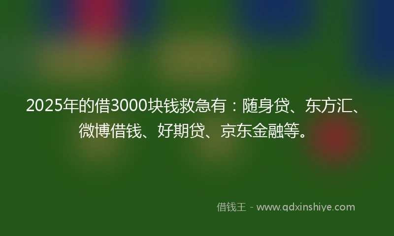 2025年的借3000块钱救急有：随身贷、东方汇、微博借钱、好期贷、京东金融等。