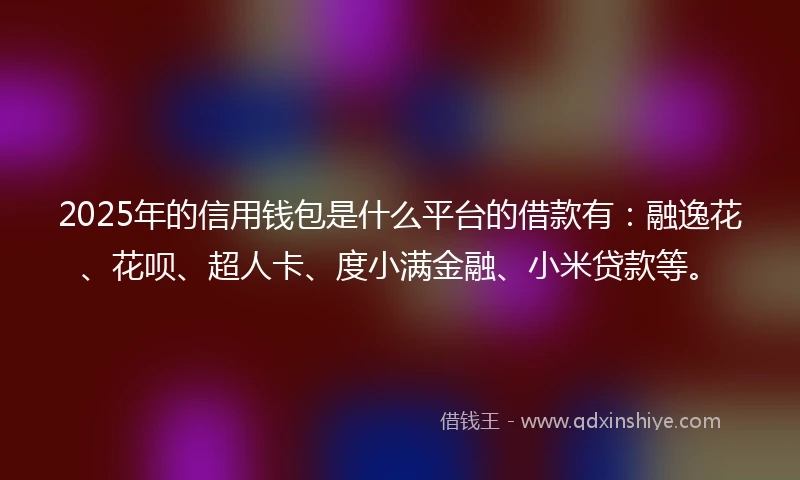 2025年的信用钱包是什么平台的借款有：融逸花、花呗、超人卡、度小满金融、小米贷款等。