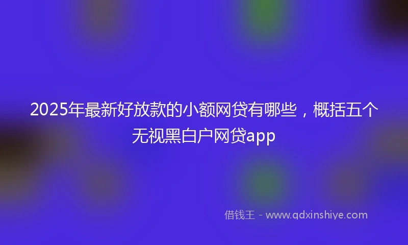 2025年最新好放款的小额网贷有哪些，概括五个无视黑白户网贷app