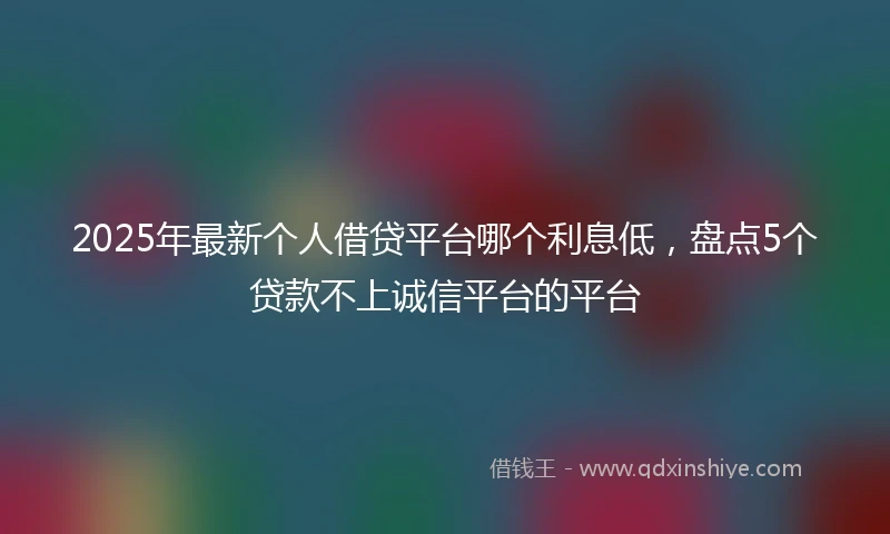 2025年最新个人借贷平台哪个利息低，盘点5个贷款不上诚信平台的平台