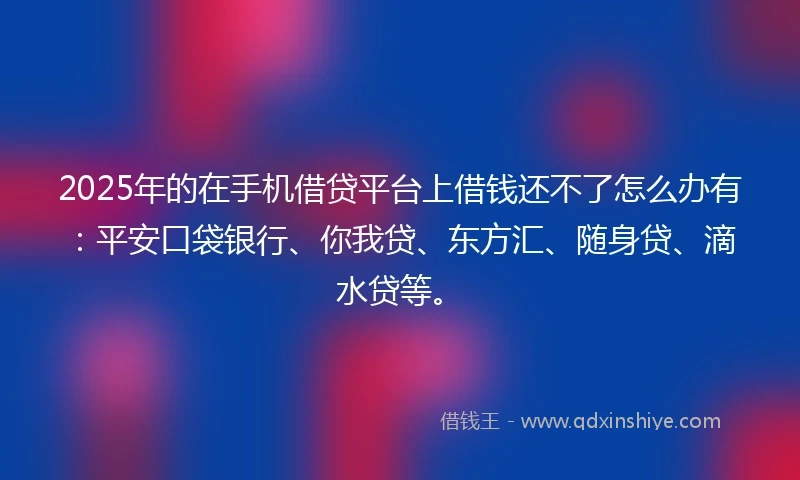 2025年的在手机借贷平台上借钱还不了怎么办有：平安口袋银行、你我贷、东方汇、随身贷、滴水贷等。