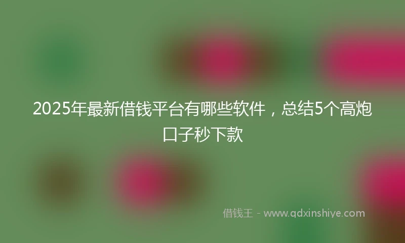 2025年最新借钱平台有哪些软件，总结5个高炮口子秒下款