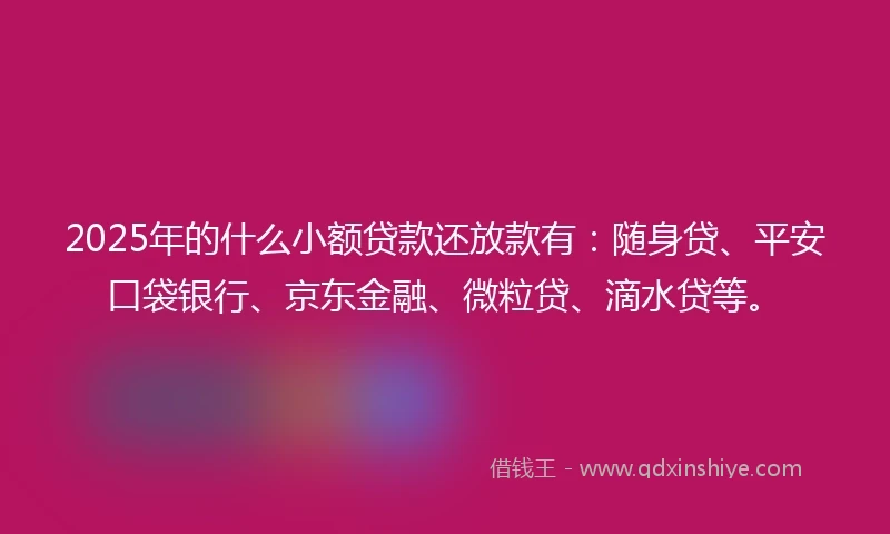 2025年的什么小额贷款还放款有：随身贷、平安口袋银行、京东金融、微粒贷、滴水贷等。