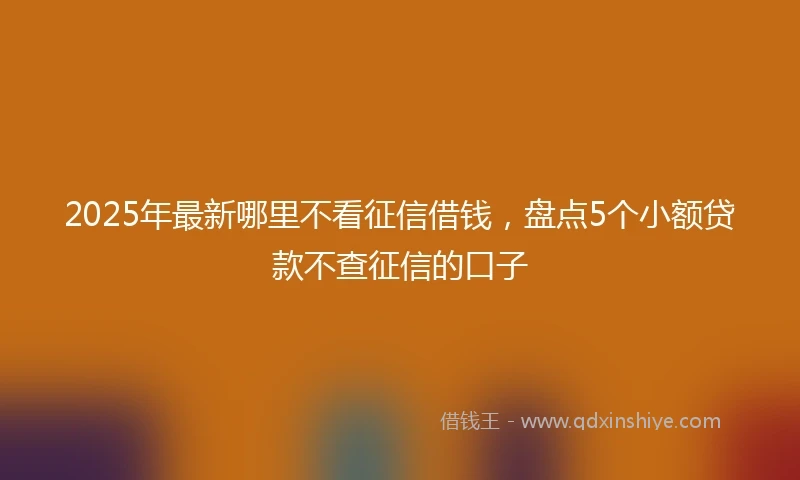 2025年最新哪里不看征信借钱，盘点5个小额贷款不查征信的口子