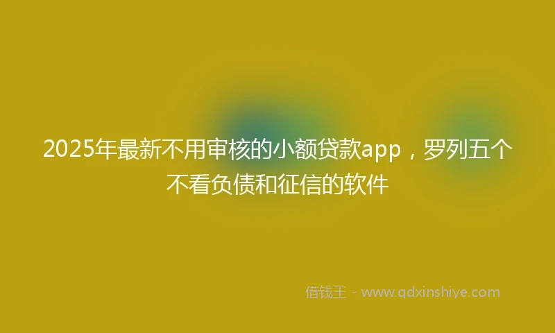 2025年最新不用审核的小额贷款app，罗列五个不看负债和征信的软件